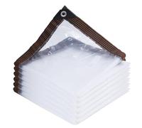 Telone Impermeabile Trasparente 2.9 x 5 cm Impermeabile, con Occhielli, Resistente Agli Strappi, Ai Raggi UV Telo Copritutto in Plastica per Balcone, Giardino, Serra, A