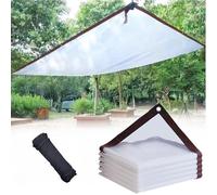 Telone Impermeabile Trasparente per Esterno, telo impermeabile con occhielli 3x3.0m 3x4.0m 3.5x5m 4x4.0m 4x5m 4.5x6m 5x7m teloni esterno per antipioggia balcone legno pianta Giardino(6.5x10m)