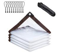 Telone Impermeabili Trasparenti Con Occhielli, Telo Di Copertura Impermeabile Trasparente 2,5x4m Per Esterni, Terrazza, Pollaio, Balcone