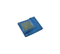 TELONE LEGGERO DI PROTEZIONE "PRB06506X10" RIBIMEX CON OCCHIELLI, 6X10 M