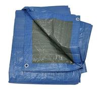 TELONE OCCHIELLATO mt 8 x 5 - 110 gr/mq. LIF