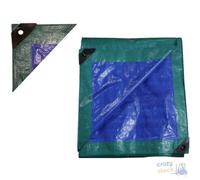 TELONE OCCHIELLATO PAPILLON IN POLIETILENE COLORE VERDE E BLU gr/mq 110 MT 4x6