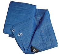 TELONE OCCHIELLATO PE BLU HAND GR/MQ 90 MT. 8 X 10