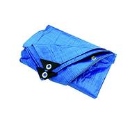 Telone Occhiellato 'Pesante' In Polietilene. Bordato E Rinforzato Con Occhielli. Peso 180 Gr./Mq.