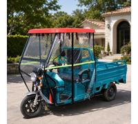 Telone per Triciclo Elettrico Completamente Chiuso | Per Triciclo Cargo a 3 Ruote, Parabrezza Protettivo, Design Trasparente per l'uso i(Silver gray)
