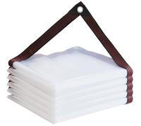 Telone Retinato Trasparente 2.9 x 5.5 m 450 Gr Mq con Occhielli, Pe, Impermeabile, Protezione Solare Copertura Trasparente, Telo Impermeabile per Balcone, Giardino, Serra, A