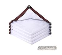 Telone Trasparente 900 x 1000 cm Plastica Trasparente Telone per Esterni con Occhielli, Impermeabile per Esterni, Piante, Serra, Pet Hutch, A