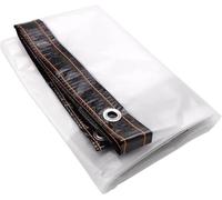 Telone trasparente impermeabile resistente con occhielli, 200 x 250 cm, in PE trasparente, per copertura e isolamento delle piante, uso esterno
