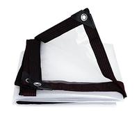 Telone Trasparente Impermeabile, Telo Trasparente in Plastica PVC 160g/m2 con Occhielli, Coperture per Teloni da Esterno Resistenti E Antistrappo per Mobili da Giardino, Piscina, 4x12m