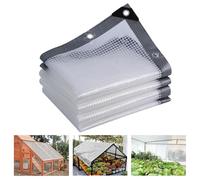 Telone trasparente in PE | Dimensioni multiple multicolori: copertura for piante di pollo nel patio della serra(Silver,13.1x32.8 FT)