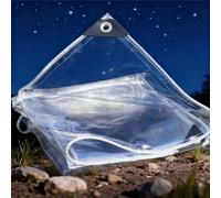 Telone Trasparente per Esterni 145 x 165 cm Impermeabile, Trasparente, Resistente Alle Intemperie, Pieghevole Giardino Telo per Esterni, Protezione Invernale, A