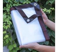 Telone Trasparente per Esterni, Telo Protezione Impermeabile con Occhielli 2x6m 3x5m 3x8m 4x6m 5x7m 6x8m 8x8m teloni Resistente alle intemperie per mobili da Giardino Esterni Piante e Serra(3x10m)