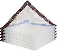 Telone Trasparente, Resistente Ai Raggi UV,Impermeabile,Resistente,Trasparente,Con Occhielli,Telo In PE Trasparente Per Campeggio Giardino, Gazebo E Protezione Del Tetto Esterno Clear,4x10m