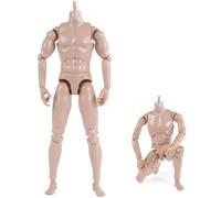 Temeemeg Action Figure in Scala 1/6, Corpo di Bambola Vuoto con Elevata articolazione per Action Figure Personalizzate, Definizione Muscolare realistica, Materiale ABS Color Pelle.