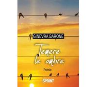 Temere le ombre