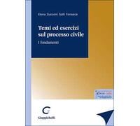 Temi ed esercizi sul processo civile. I fondamenti