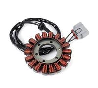 TEMKIN Bobina Statore per BMW S1000RR S1000 RR K67 2018-2020 S1000XR S 1000 XR K69 2018 2019 Moto Statore Bobina 12318396695 12318404476 Magneto Statore