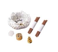 TEMOOUES Portaincenso a forma di fiore in cristallo, con ciotola, portacenere e bastoncini di incenso, set per ricchezza, fortuna e decorazione per la casa aromaterapia bruciatori