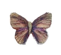 Temperamento Spilla Farfalla Per Le Donne Sticked Revers Pin Accessorio Elegante Gioielli Di Animali Per Abiti E Abiti Vecchi Accessori, Taglia unica, come descritto