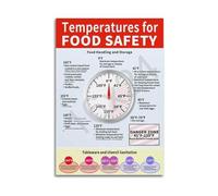 Temperature Danger Zone Wall Art, Food Safety Chart Poster for Modern Kitchen and Office Aesthetic(Unframed,12x18inch(30x45cm))