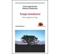 Tempi simultanei. Libri e viaggi di uno scrittore
