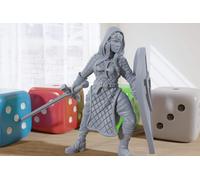 Temple Donna - 3D Stampato Minifigure - Proxy Minis per Dnd , Baldurs Gate,