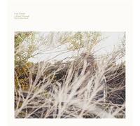 Temple, Luke - A Hand Through The Cellar Door