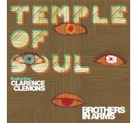 Temple of Soul - Brothers in Arms