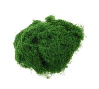 TEMPNAP 1sacchetto Decorativo Moss Artificiale Filamentoso per Giardini Miniatura e Progetti Fai da Te di Simulazione di Muschio per Decorazioni Creative e Centro Tavola