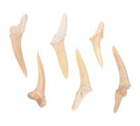 TEMPNAP Collana Uomo Ciondoli Denti di Squalo Fossili, Set 6 Pezzi Regolabile, Leggero e Resistente, e Uso Quotidiano