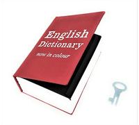 TEMPO DI SALDI Dizionario Cassaforte Scatola Porta Valori Libro Cassetta Sicurezza Segreta