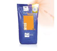 Tempoverde Blue Country GOLD Myco 10 kg semi professionali prato tappeto erboso