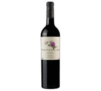 Tempus Alba Mendoza IG Riserva Malbec 2022 0,75 l