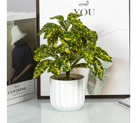 TEMU 1 pz Vaso da fiori a bocca con , da interno, da scrivania, , verde, per giardinaggio, stile occidentale, vaso di fiori in plastica