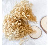 TEMU 101 pezzi di 'S Breath' essiccati | per biglietti d', bouquet a , decorazioni per biglietti e festive come il Ringraziamento e Natale