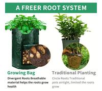 TEMU 4 pezzi di Sacchi da Giardino in Tessuto Resistente da 10 con Finestra e - per Patate e Verdure, Uso Interno/Esterno, Verde