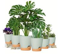 TEMU (6 pezzi) Vasi autoirriganti per piante in dimensioni 8, 7, 6.5, 6, 5.5 e 5 pollici, con di drenaggio. Questi vasi di plastica adatti a tutte le piante da interno, tra cui , fiori e cactus.