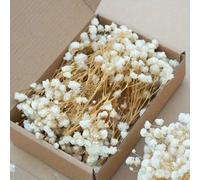 TEMU 97 pezzi di fiori artificiali realistici a tema cielo stellato - per decorazioni che tutto l' in case, , matrimoni, feste e festività come il Ringraziamento, , della