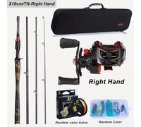 TEMU Combo Canna da Pesca Sougayilang con Mulinello e Borsa, Set 4 Pezzi di Canne in Grafite e Baitcaster Smooth, con Filo da Pesca, Esche, Attrezzatura da Pesca