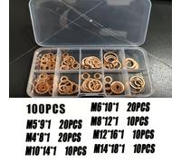 TEMU Kit principale da 100 pezzi di guarnizioni in rame - Guarnizioni per del pistone con anelli piani, dadi e bulloni