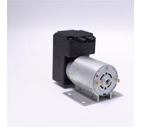 TEMU Pompa a Vuoto AP40-2 a Pressione e Negativa, 12V