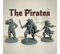 TEMU Set di 3 modelli di pedine da a tema pirata: un capitano, una pirata e un pirata spia. Queste miniature perfettamente realizzate per i giochi di ruolo