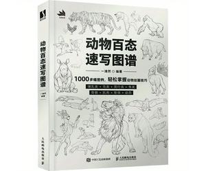 TEMU Sketchbook di Animali - Versione Cinese