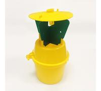 TEMU Trappola per scarafaggi giapponesi Popillia in plastica per esterni