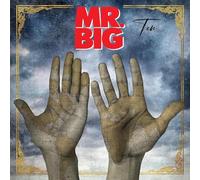 Ten - Mr. Big (Audio cd)