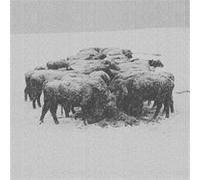 Ten Times The World Lied - Bvdub (Audio CD)
