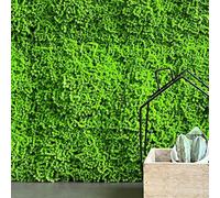 TENAX Divy 3D Muscus 1x1 m Verde, Siepe Artificiale Tipo Muschio, Pannello Compo