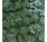 TENAX Divy Hedera Plus 150x300 cm Verde, Siepe Sintetica con Foglie in PE Tipo Edera a Schermatura Totale per Balconi, Giardini e Recinzioni