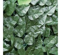 Tenax Divy Laurus Net siepe Sintetica in Poliestere con Rete Tessuta schermante, Verde, 1,50x3 m