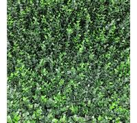 TENAX Divy Panel Buxus Intense Siepe Artificiale Modulare Bosso 50x100 cm | Pannello per Giardino Verticale, Parete Verde Artificiale, Decorazione Indoor Outdoor, Verde Intenso